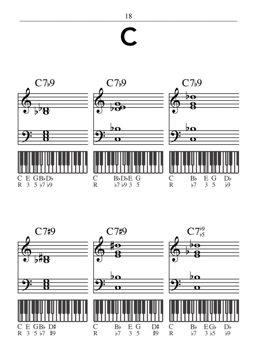 Hal Leonard - Pocket Piano Chord Dictionary Book