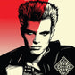 The Very Best Of Billy Idol - Idolize Yourself PVG Songbook