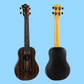 Flight - Amara Travel Concert Ukulele with Gig Bag