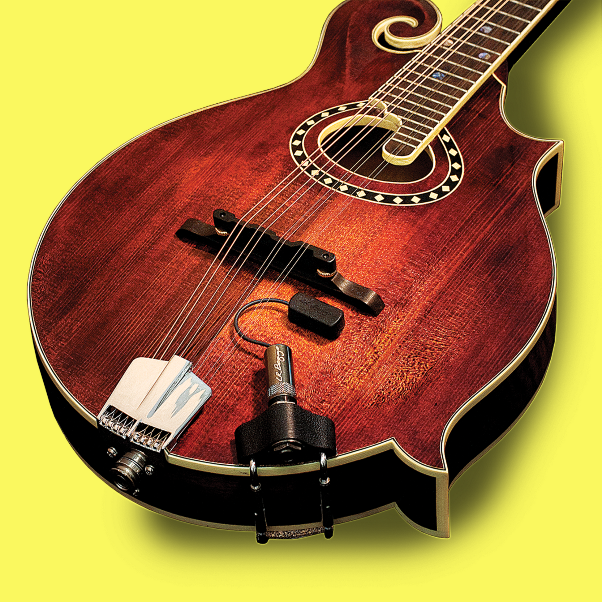 LR Baggs RADM Radius Mandolin Pickup with Jack