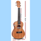 Alpha 26-inch Electric Natural Tenor Ukulele with Tuner & Carry Bag