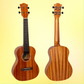 Flight Antonia Concert Electro-Acoustic Ukulele with Padded Gig Bag (Early Dec Arrival)