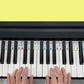 Removable Silicone Piano Keyboard Rainbow Note Labels - 61 Key (For Beginners)