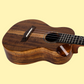 Flight Spirit EQ-A Concert Ukulele With Deluxe Padded Gig Bag