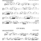 101 Classical Themes For Flute Book