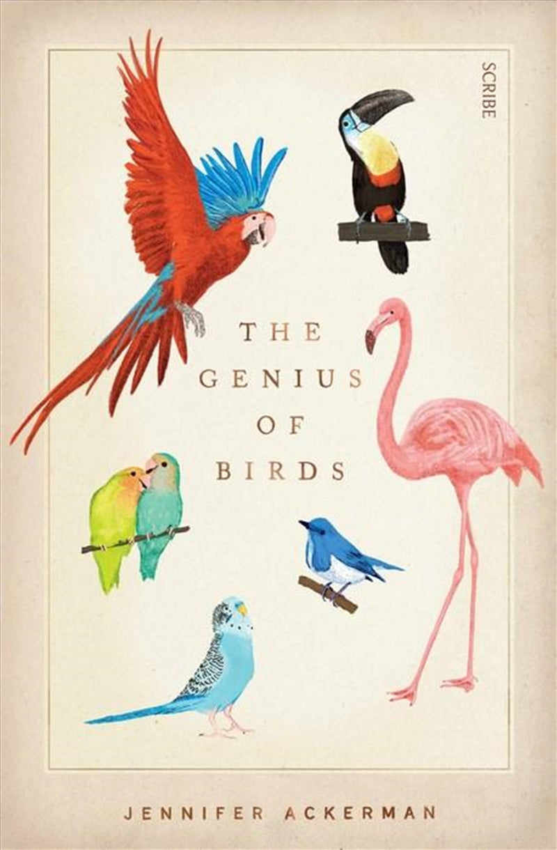 The Genius of Birds - Jennifer Ackerman