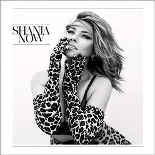 Shania Twain - Now CD