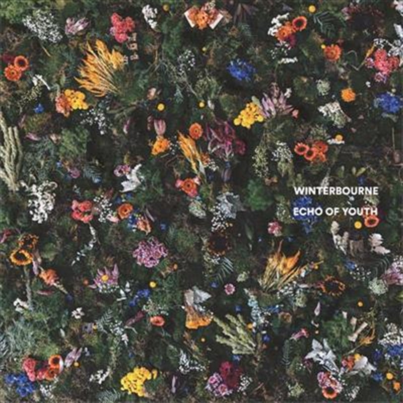 Winterbourne - Echo Of Youth CD