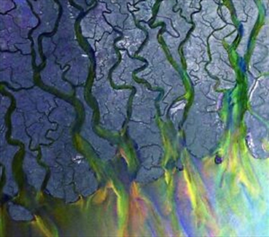 Alt-J - An Awesome Wave CD