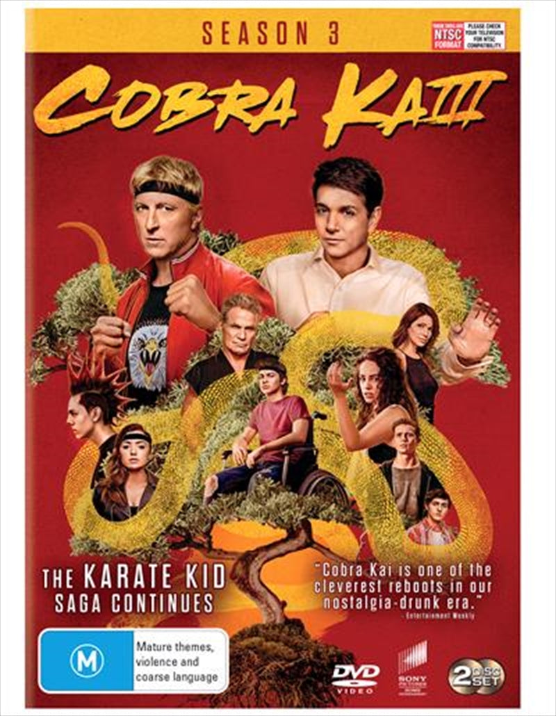 Cobra Kai - Season 3 DVD