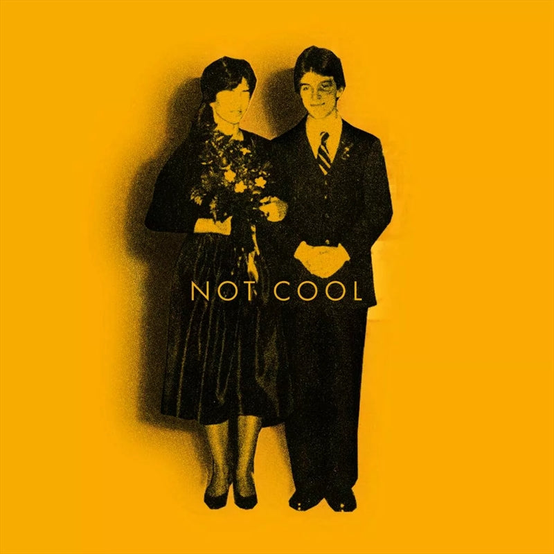 Tim Easton - Not Cool CD