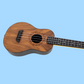 Flight Walnut Travel Concert Ukulele with Salamander Rosette & Gig Bag