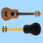 Flight Walnut Travel Concert Ukulele with Salamander Rosette & Gig Bag