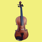 Vivo Elite 4/4 Violin Outfit with Case & Bow