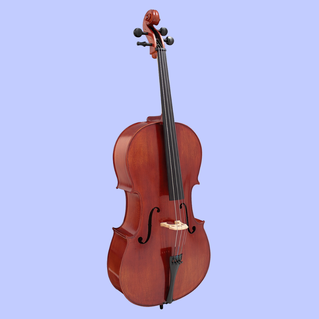 Hidersine Studenti Academy Finetune Student 4/4 Cello with Bag, Bow & Rosin, Strings