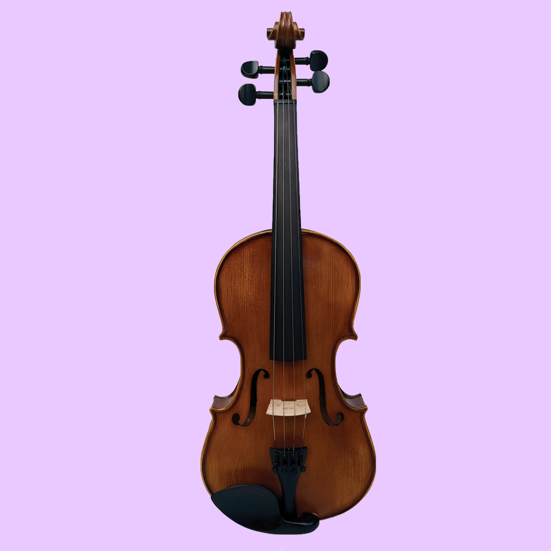 Vivo Encore 4/4 Student Violin Outfit with Case & Bow (Beginner Violin)