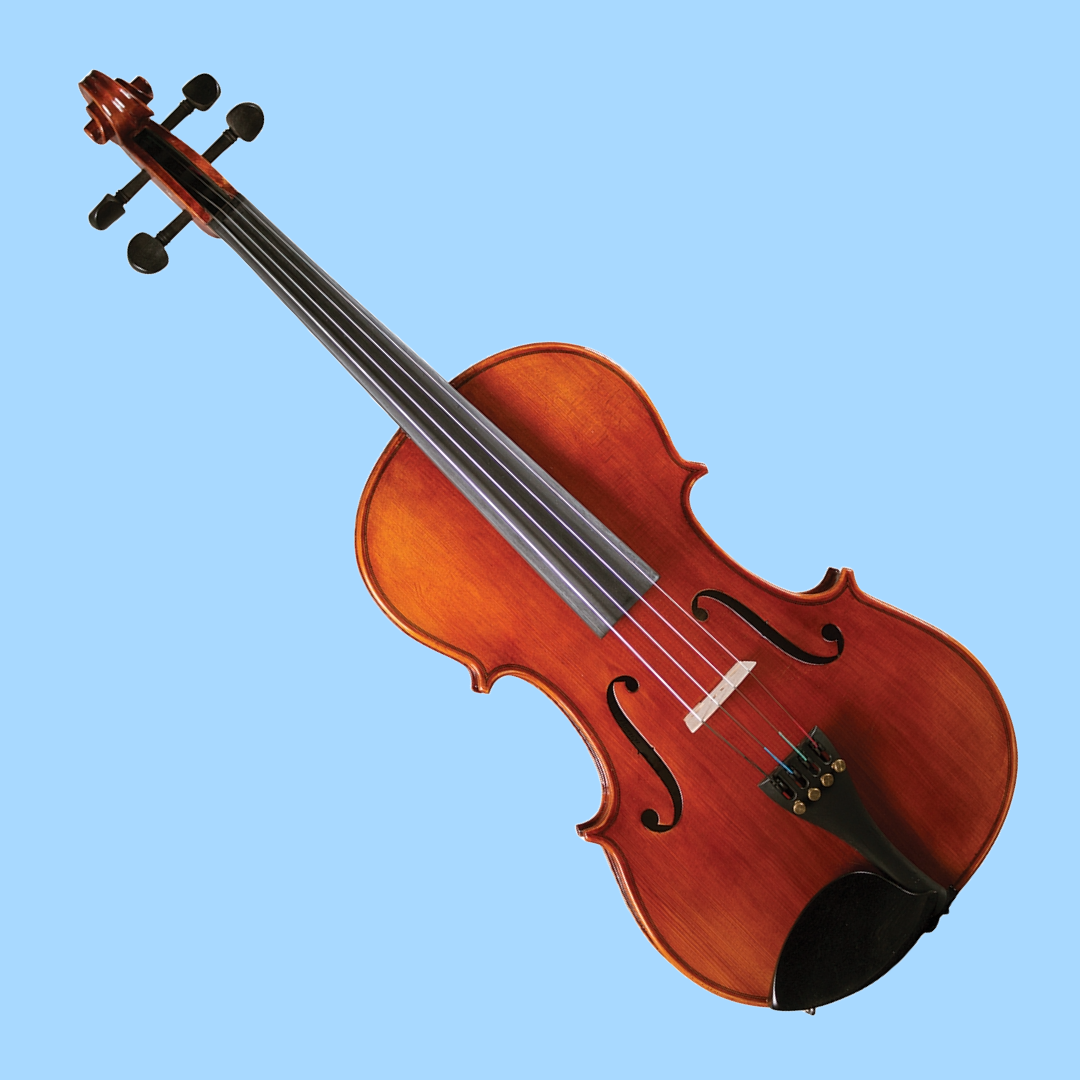 Hidersine Studenti 15.5" Viola Student Outfit with Shaped Case (Beginner Viola)