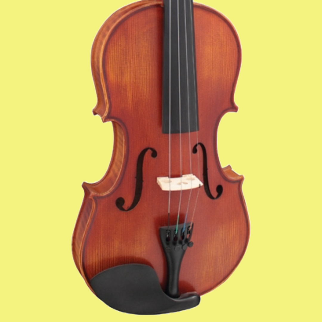 Hidersine Vivente Violin 1/2 Student Outfit with Case, Bow & Rosin (Beginner Violin)