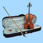 Hidersine Vivente 14" Viola Student Outfit with Case, Bow & Rosin (Beginner Viola)