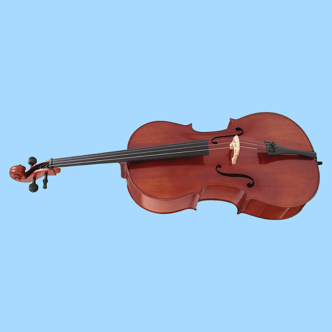 Hidersine Studenti Cello Size 4/4 Student Outfit (Beginner Outfit)