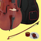 Hidersine Piacenza Cello Outfit 4/4 with Deluxe Padded Bag Bow & Rosin