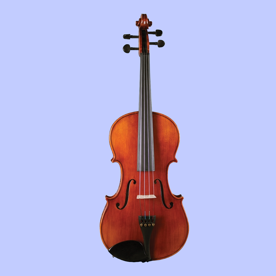 Hidersine Studenti 15" Viola Student Outfit with Shaped Case (Beginner Viola)