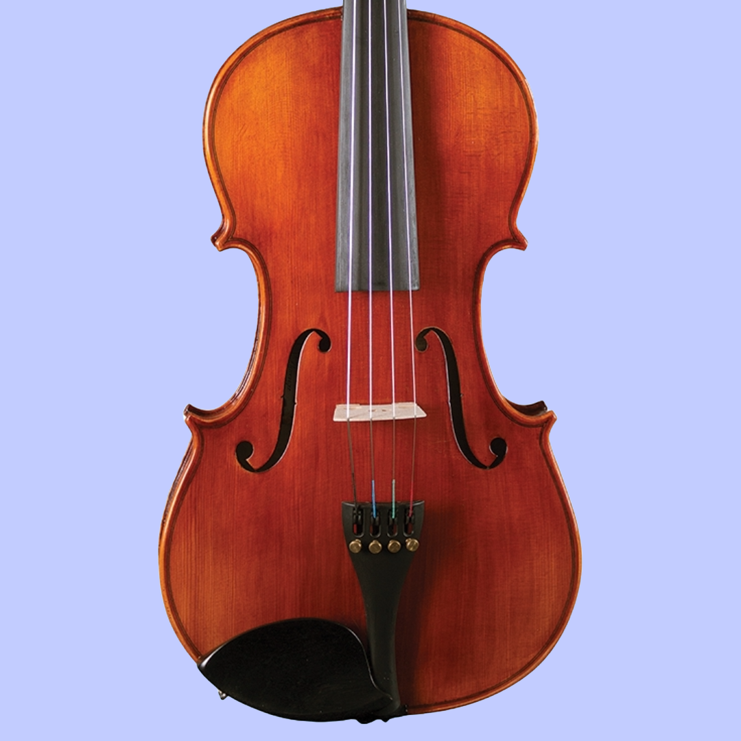 Hidersine Studenti 15" Viola Student Outfit with Shaped Case (Beginner Viola)