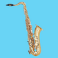 Grassi GRSST900 School Series Gold Lacquer Tenor Saxophone (Beginner Saxophone)