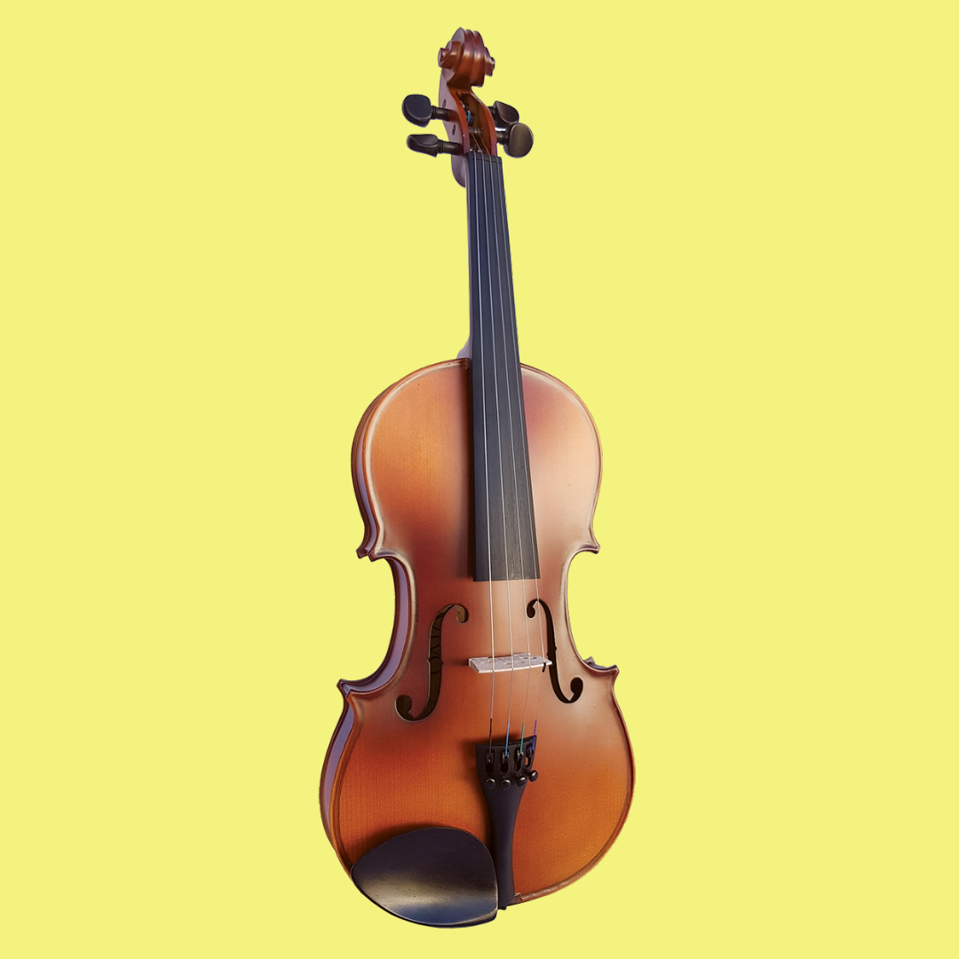 Vivo Neo 4/4 Student Violin Outfit (Beginner Violin)