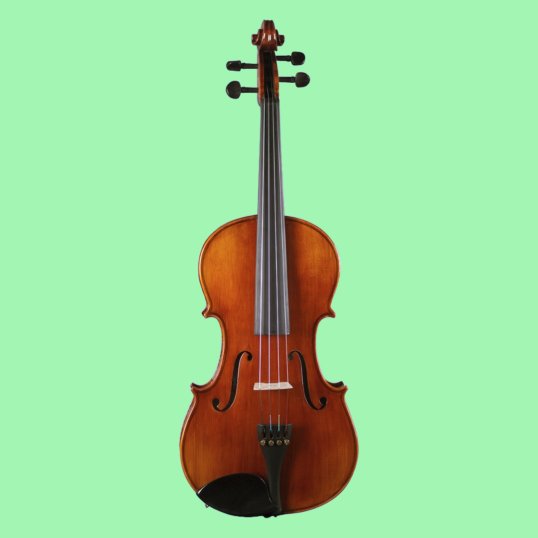 Hidersine Piacenza Viola 15" Outfit with Shockproof Case, Bow & Rosin