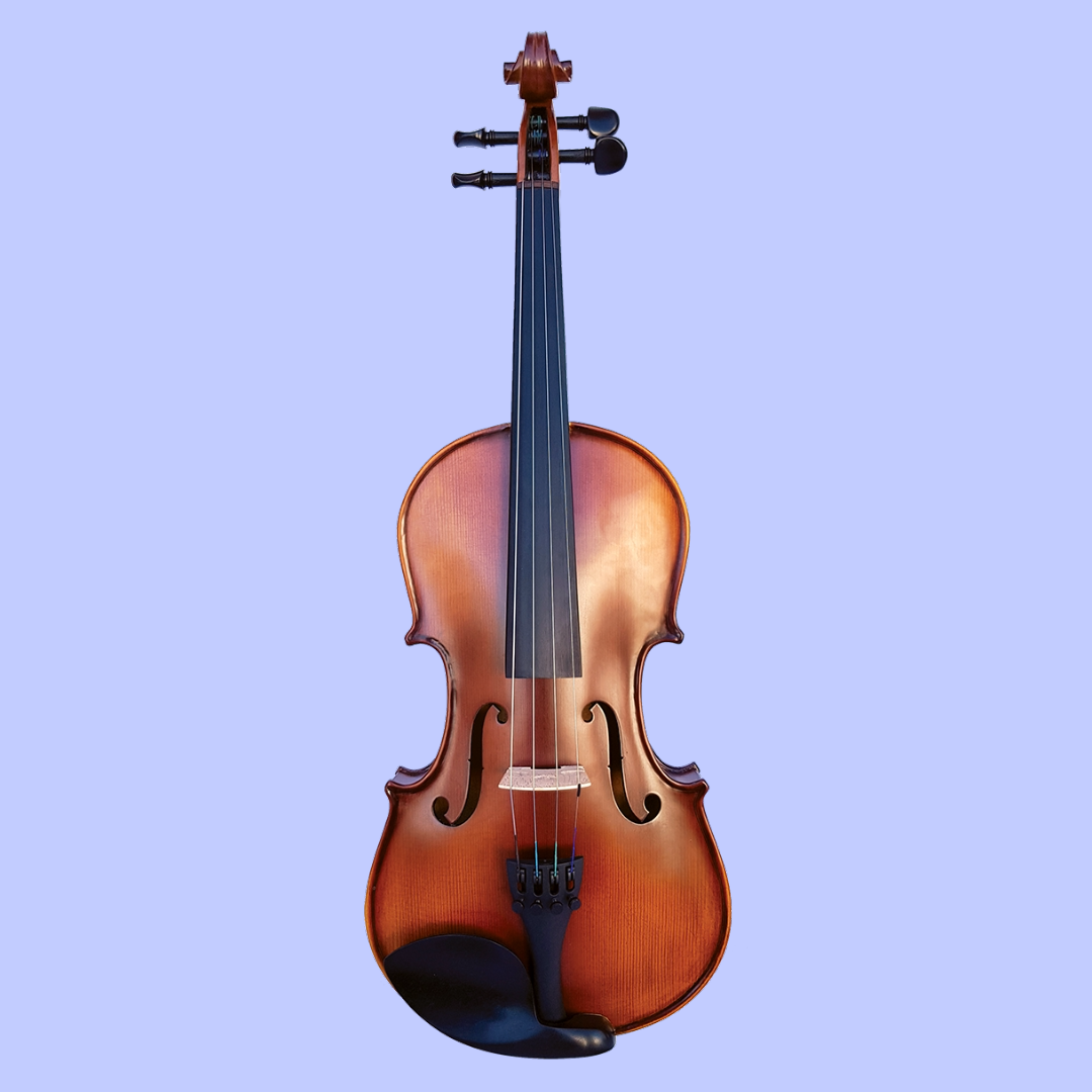 Vivo Encore Student 13" Viola Outfit with Case & Bow (Beginner Viola)