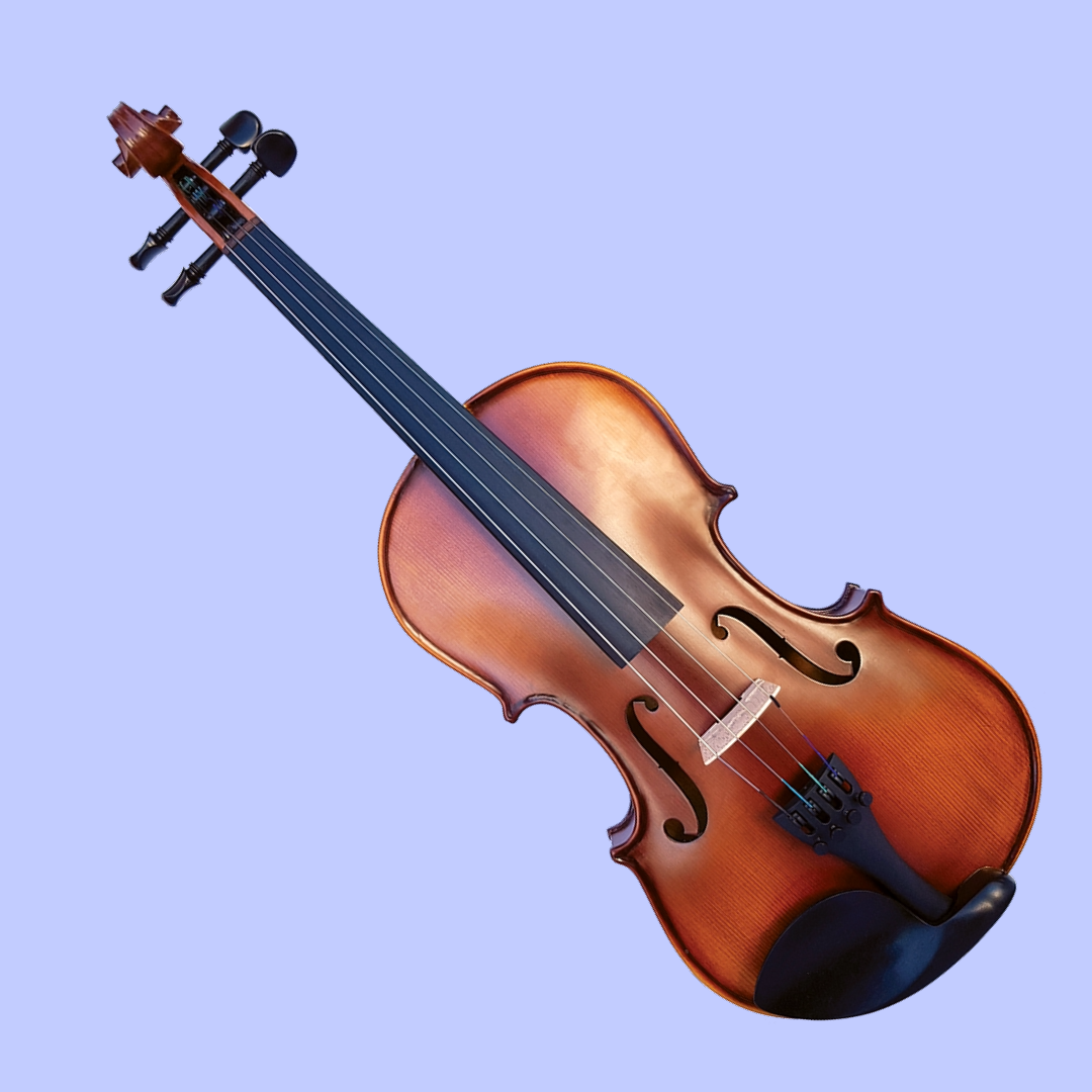 Vivo Encore Student 13" Viola Outfit with Case & Bow (Beginner Viola)