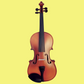 Vivo Neo 4/4 Student Violin Outfit (Beginner Violin)