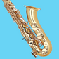 Grassi GRSST900 School Series Gold Lacquer Tenor Saxophone (Beginner Saxophone)