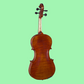 Hidersine Piacenza Viola 15" Outfit with Shockproof Case, Bow & Rosin