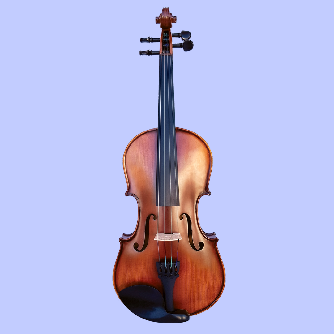 Vivo Encore Student 13" Viola Outfit with Case & Bow (Beginner Viola)