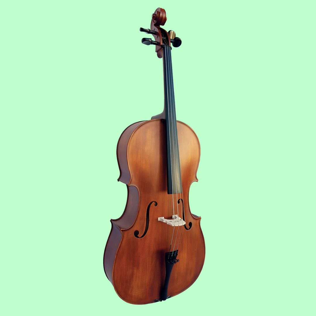 Vivo Student 1/2 Cello Outfit with Bow & Poly-Foam Hard Case (Beginner Cello) Arriving 28 January