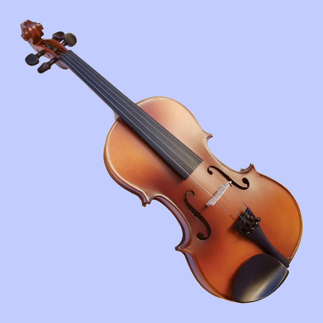 Vivo Neo 3/4 Student Violin Outfit (Beginner Violin)