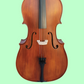 Vivo Student 1/2 Cello Outfit with Bow & Poly-Foam Hard Case (Beginner Cello) Arriving 28 January