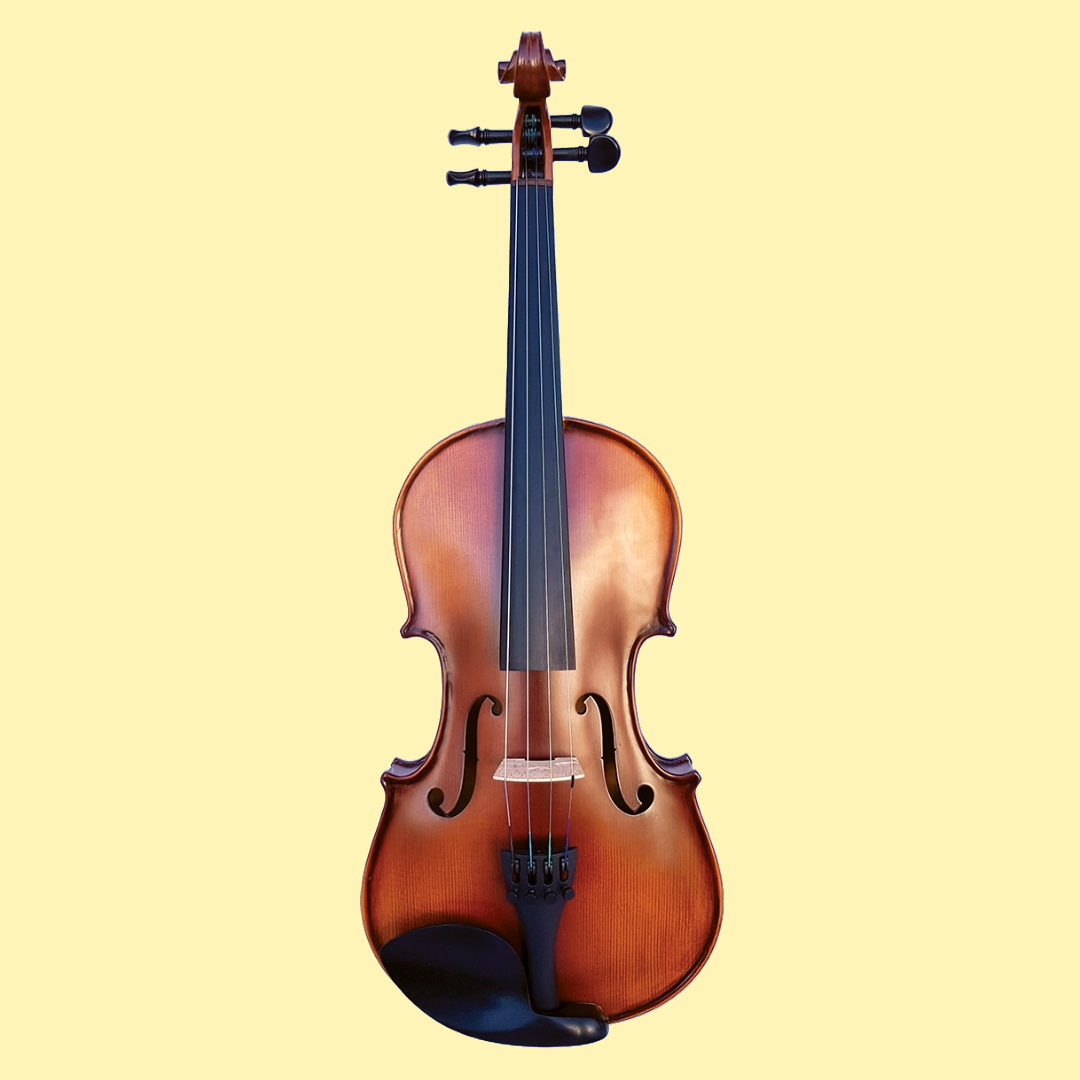 Vivo Encore Student 12 " Viola Outfit with Case & Bow (Beginner Viola)