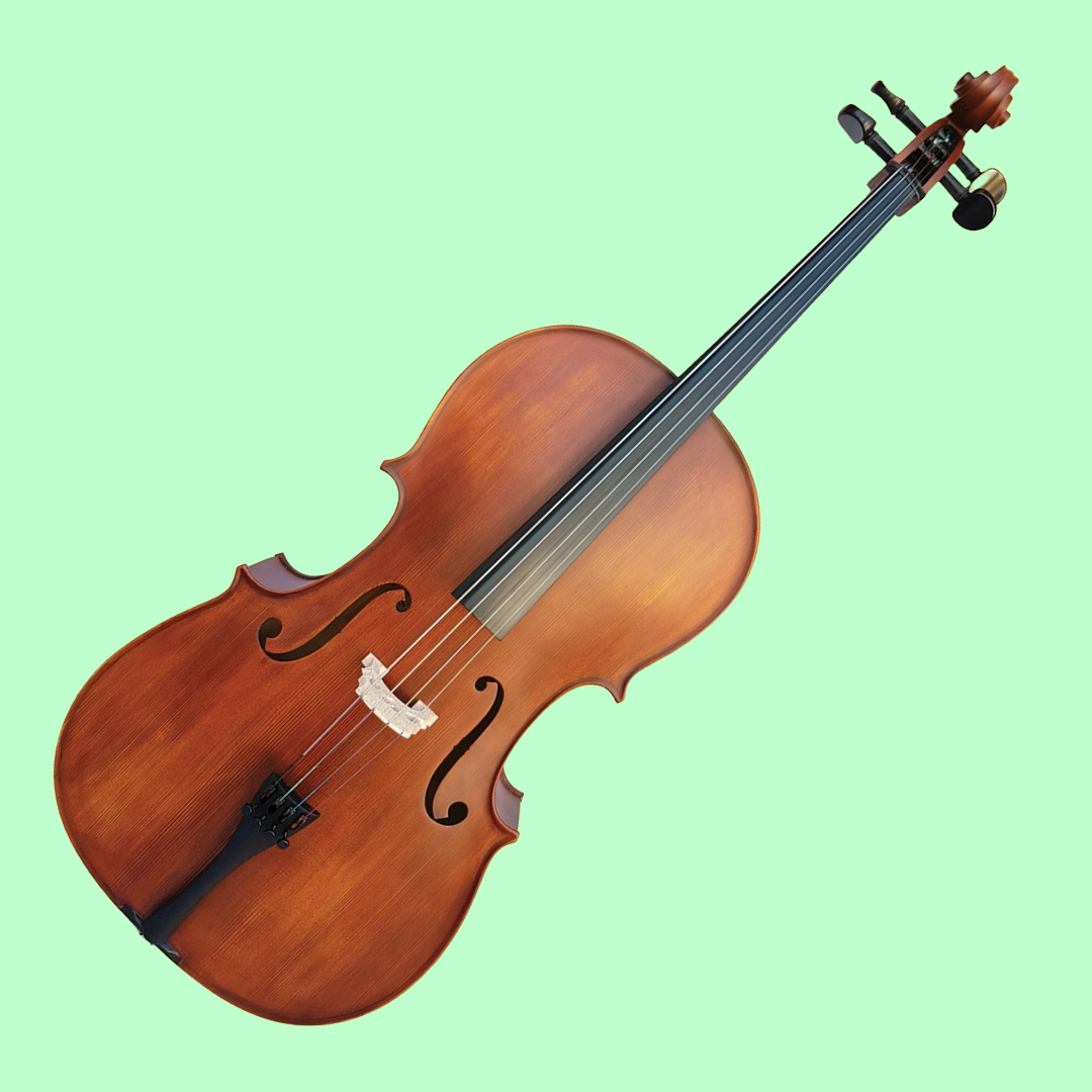 Vivo Student 1/2 Cello Outfit with Bow & Poly-Foam Hard Case (Beginner Cello) Arriving 28 January