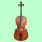 Vivo Student 1/2 Cello Outfit with Bow & Poly-Foam Hard Case (Beginner Cello) Arriving 28 January