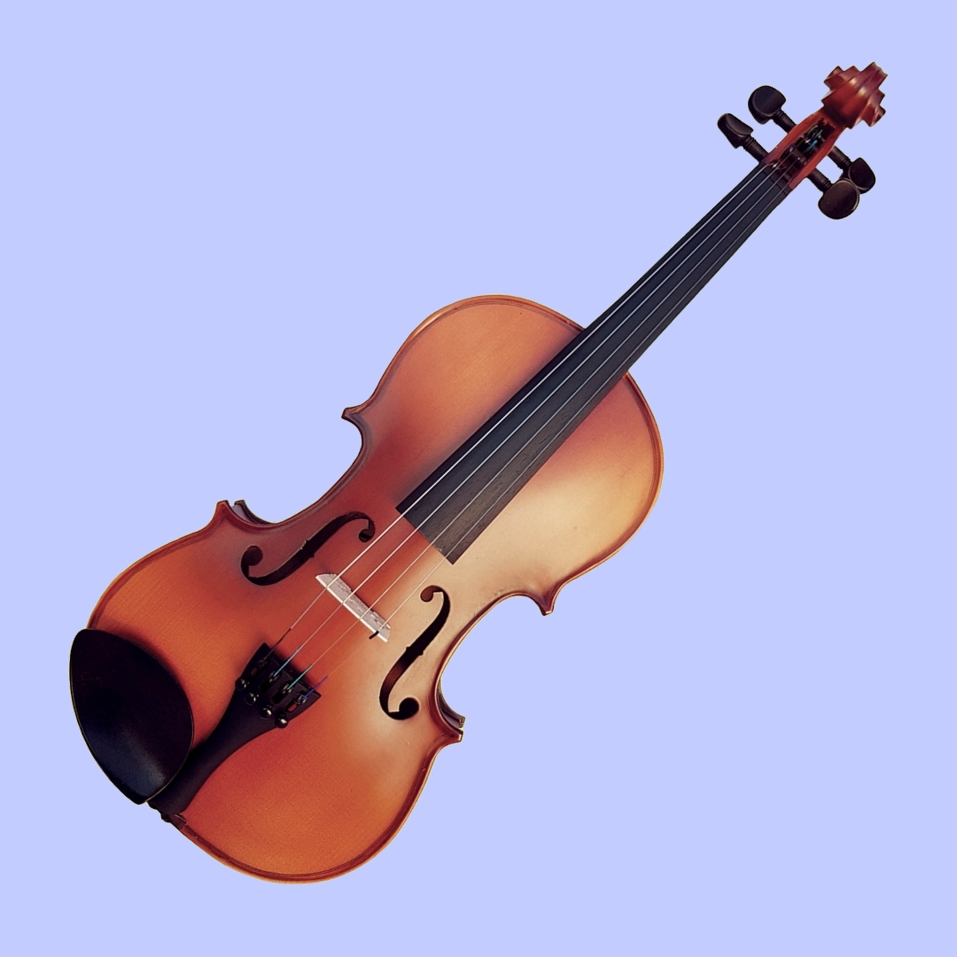 Vivo Neo 3/4 Student Violin Outfit (Beginner Violin)