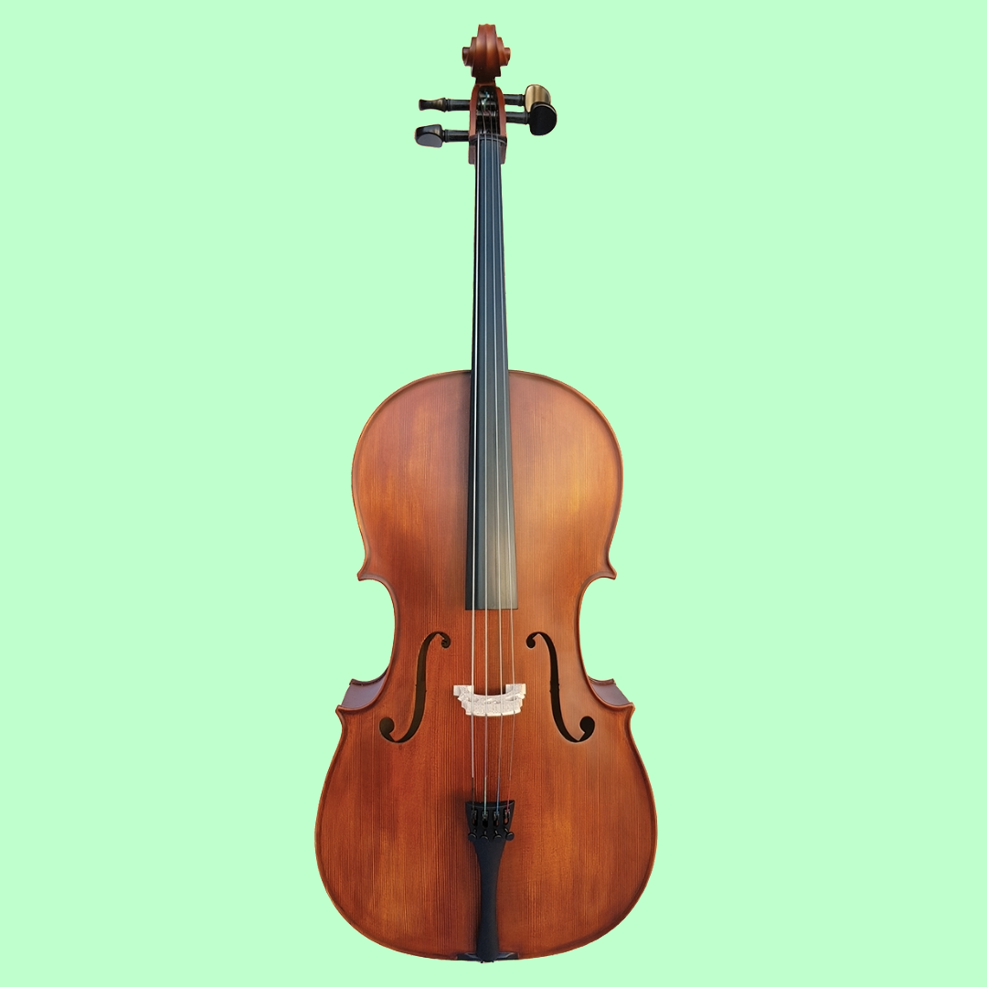 Vivo Student 1/2 Cello Outfit with Bow & Poly-Foam Hard Case (Beginner Cello) Arriving 28 January