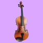 Vivo Neo 1/4 Student Violin Outfit with Case & Bow (Beginner Violin)