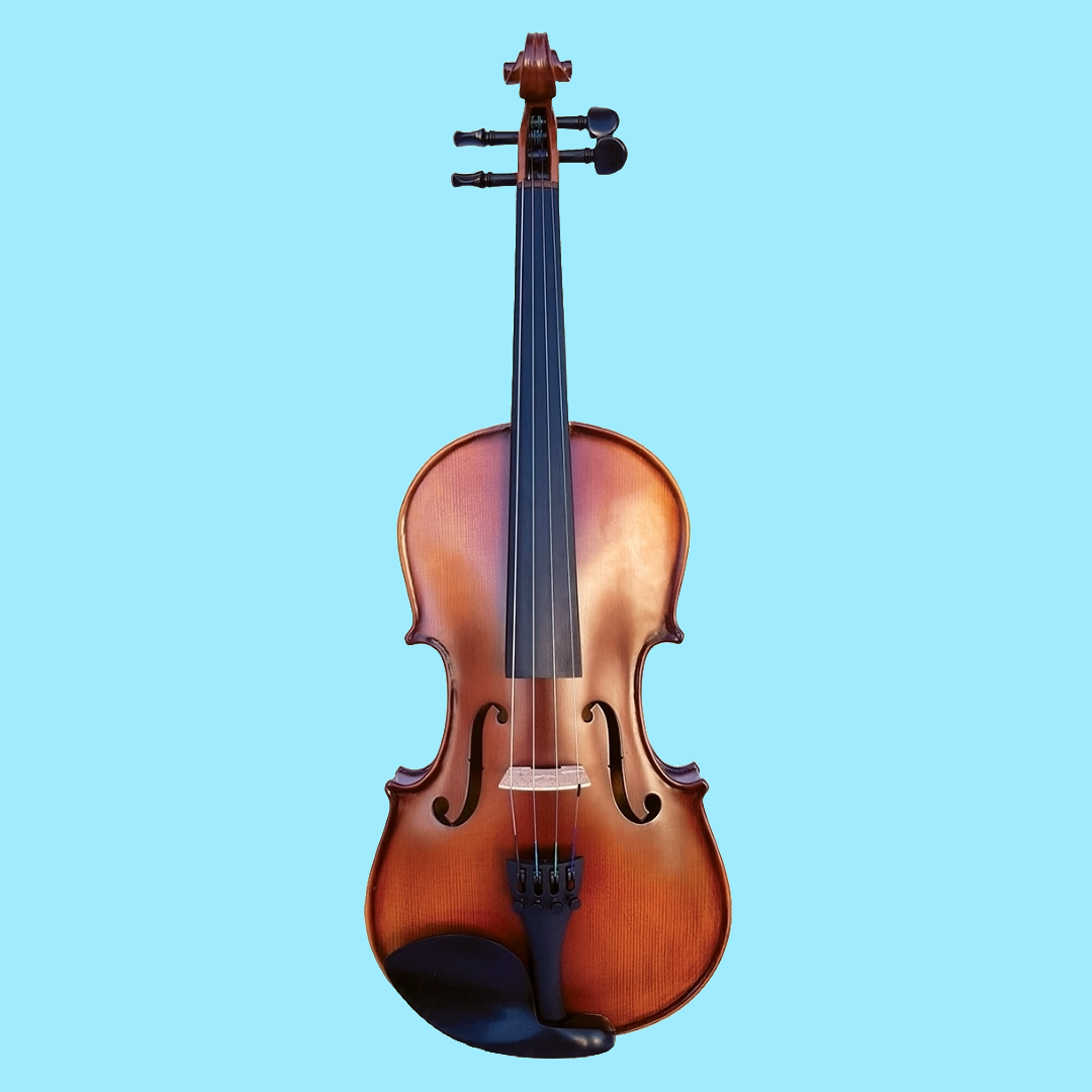 Vivo Encore 14" Student Viola Outfit with Case & Bow (Beginner Viola)