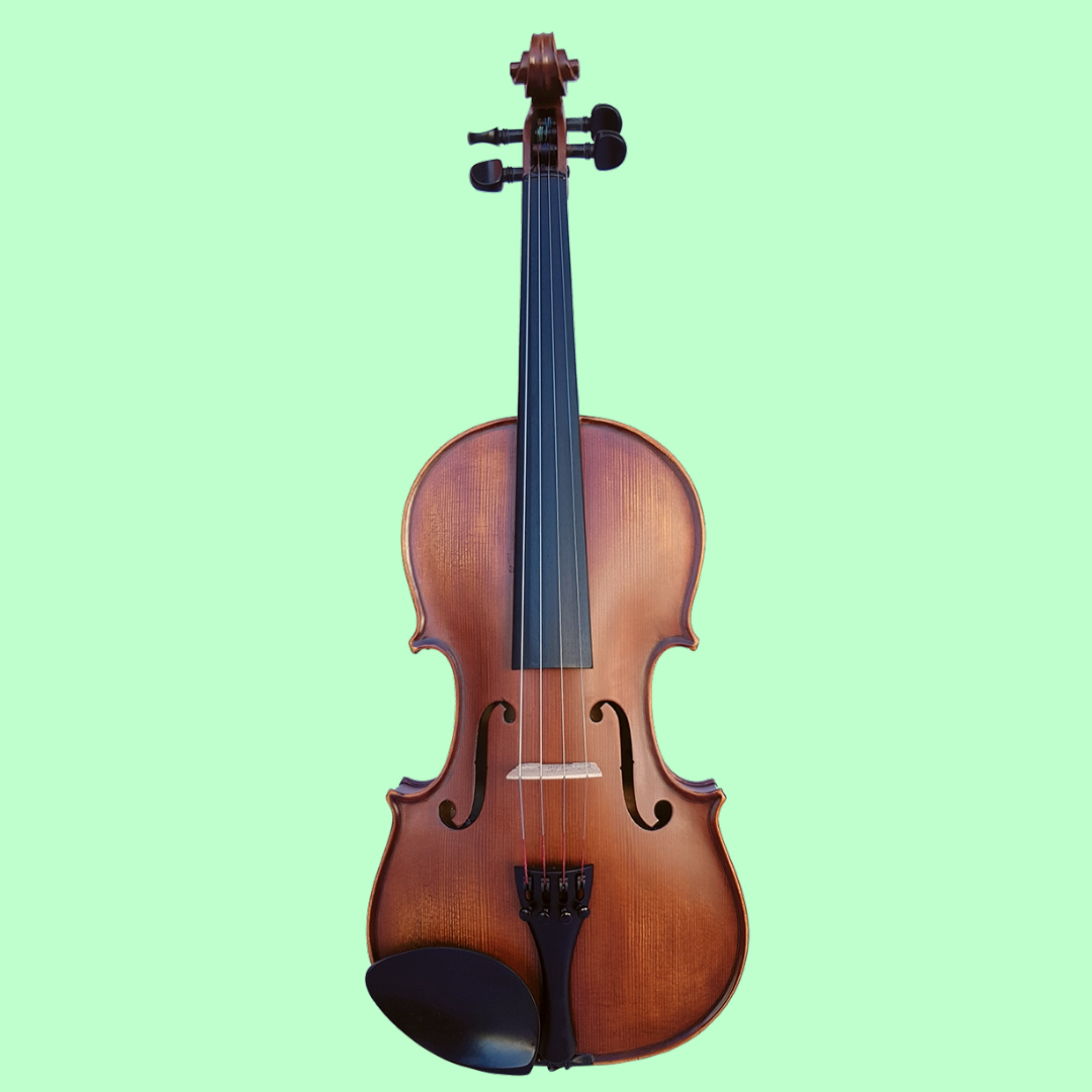 Vivo Neo 14" Student Viola Outfit with Case & Bow (Beginner Viola)