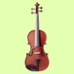 Vivo Neo Plus Student 3/4 Violin Outfit (Beginner Violin)