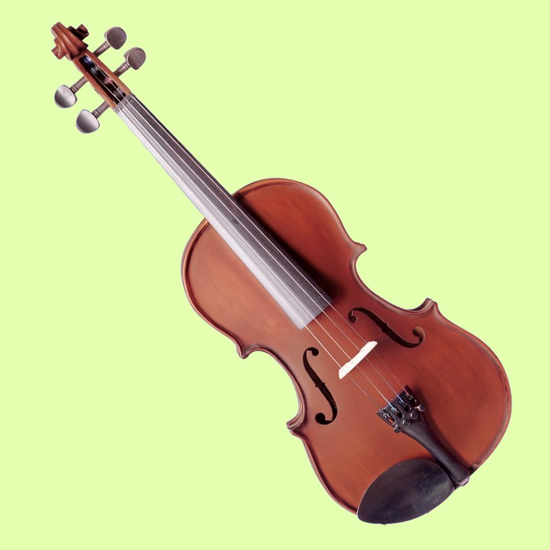 Vivo Neo Plus Student 3/4 Violin Outfit (Beginner Violin)