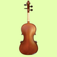 Vivo Neo Plus Student 3/4 Violin Outfit (Beginner Violin)